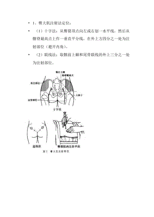 肌肉注射具体部位.doc