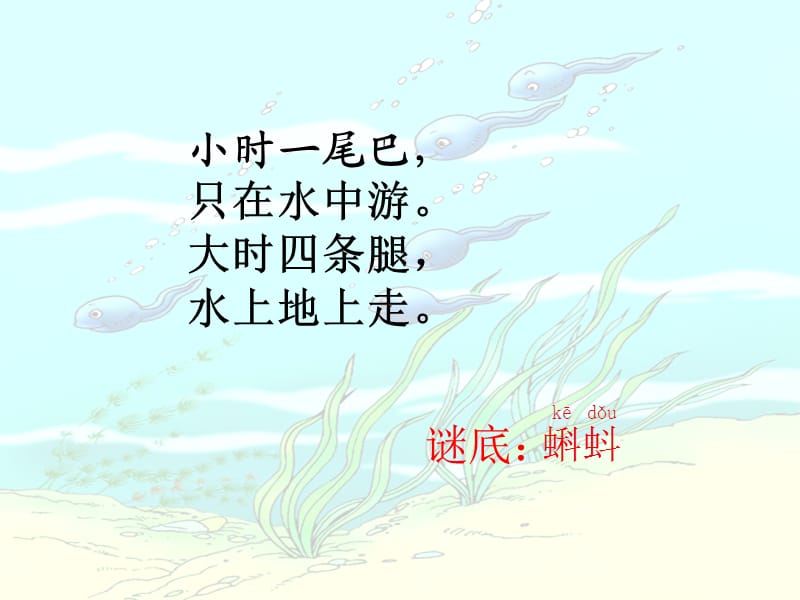 小蝌蚪找妈妈ppt课件.ppt_第1页