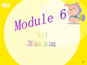 外研版Module 6 Unit 1.ppt