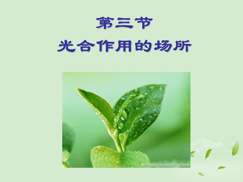 光合作用的场所.ppt_第2页