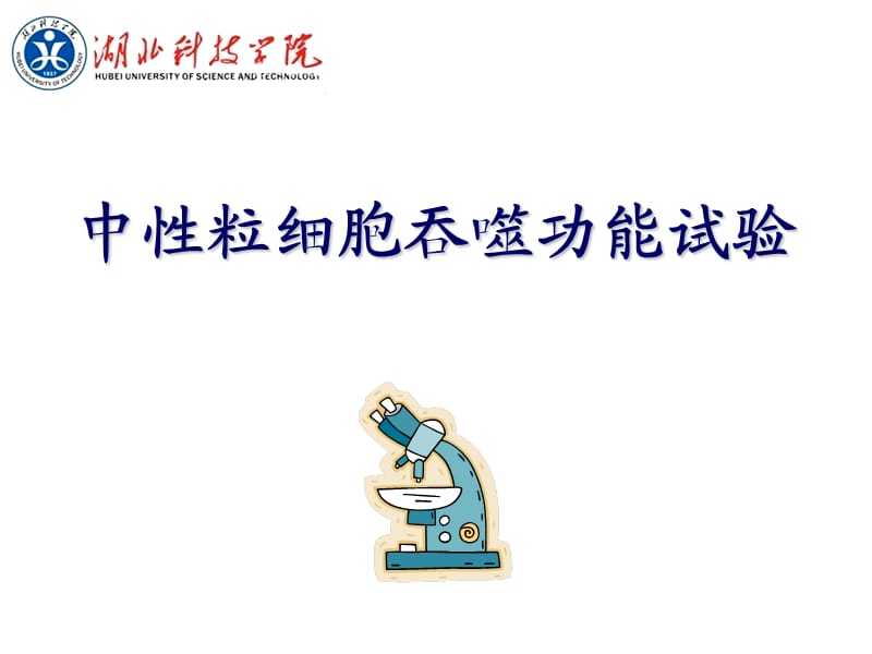 中性粒细胞吞噬功能试验.ppt_第1页