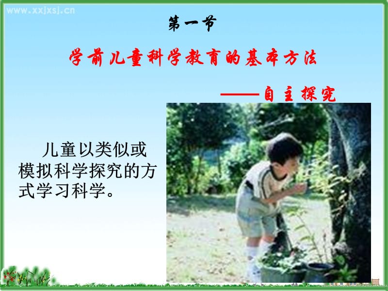 学前儿童科学教育的方法.ppt_第2页