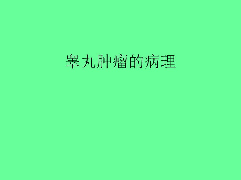 睾丸肿瘤的病理.ppt_第1页