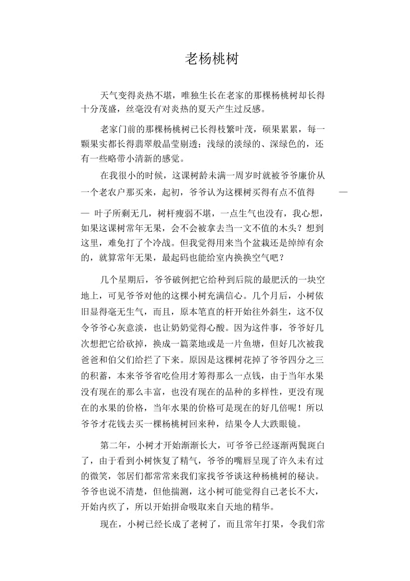 初中生状物优秀作文：老杨桃树.docx_第1页