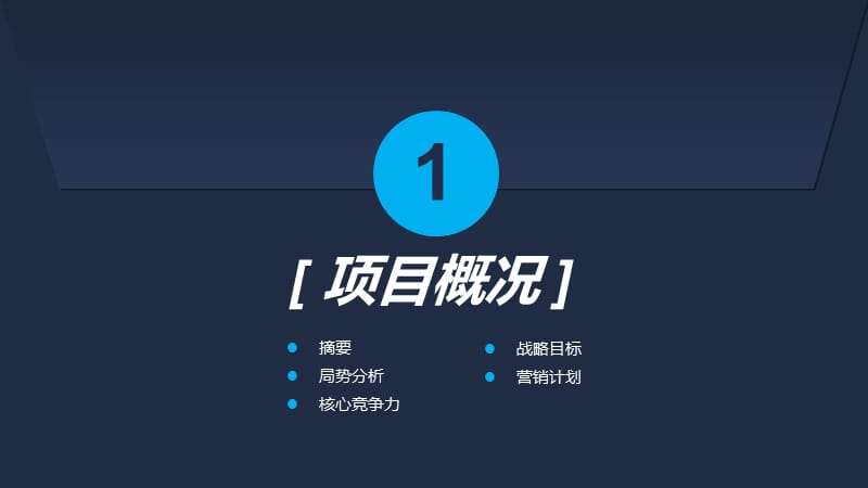 【绝密档案】商业创业计划书完整版.ppt_第3页