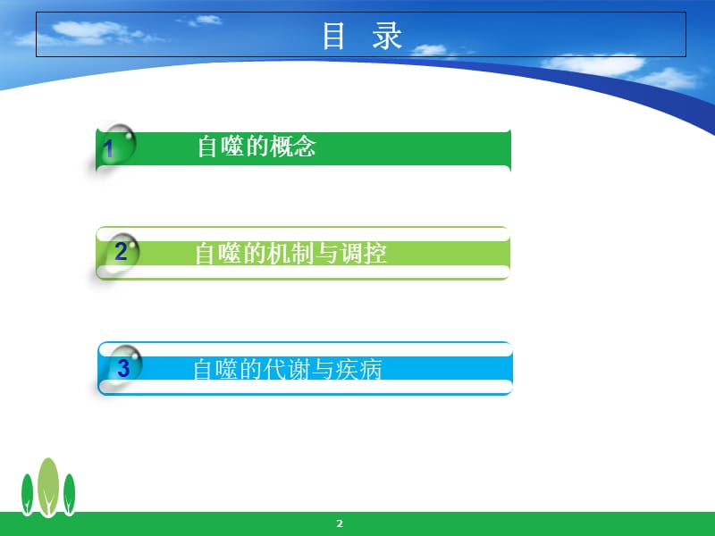 细胞自噬与代谢.ppt_第2页