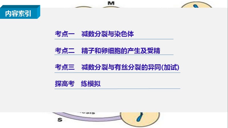 步步高浙江专用2017届高考生物二轮复习专题九减数分裂与受精作用课件.ppt_第2页