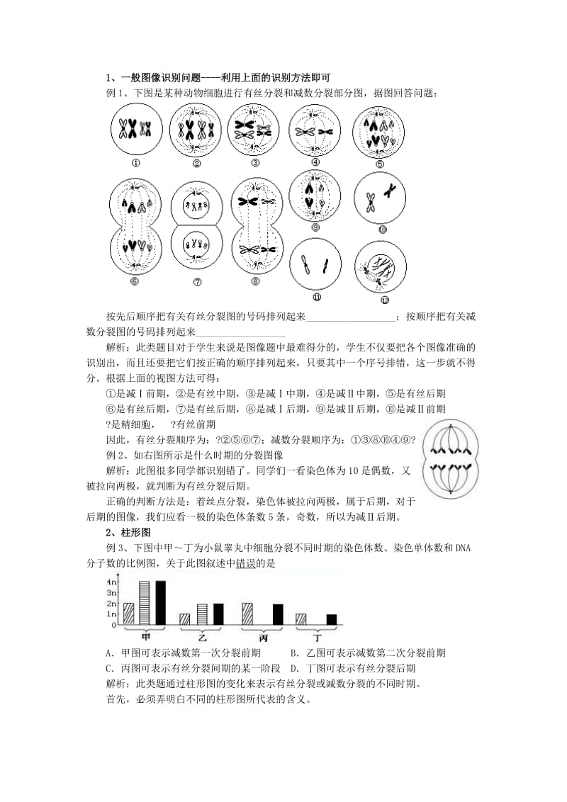 生物_有丝分裂和减数分裂图解_区别和联系.doc_第3页