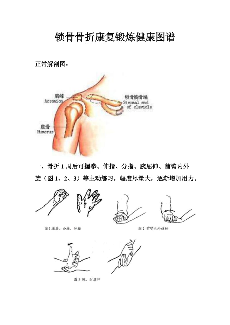 锁骨骨折康复锻炼健康图谱;.docx_第1页