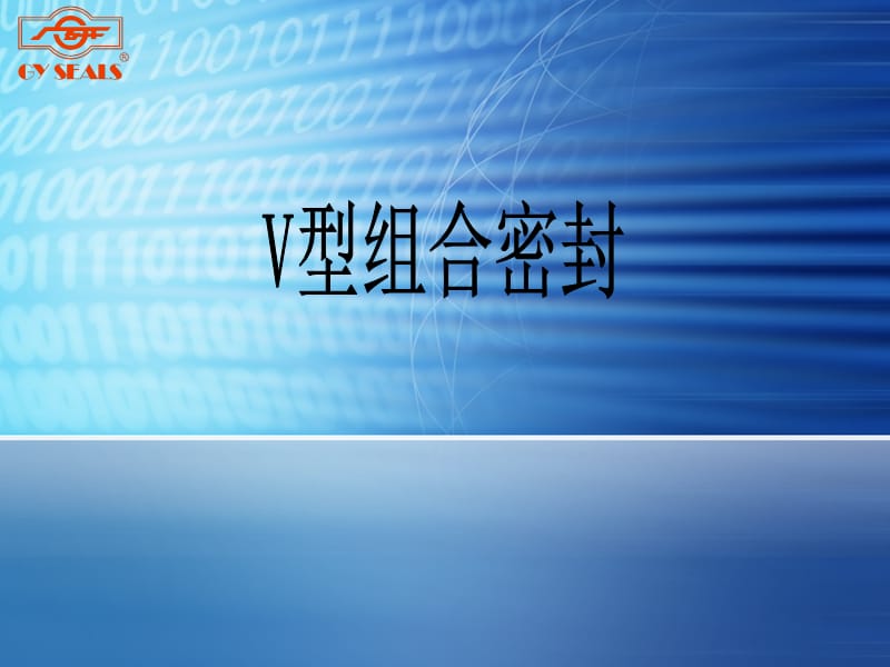 V型组合密封讲解.ppt_第1页