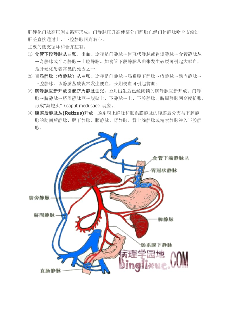 肝硬化门脉高压侧支循环形成.doc_第1页