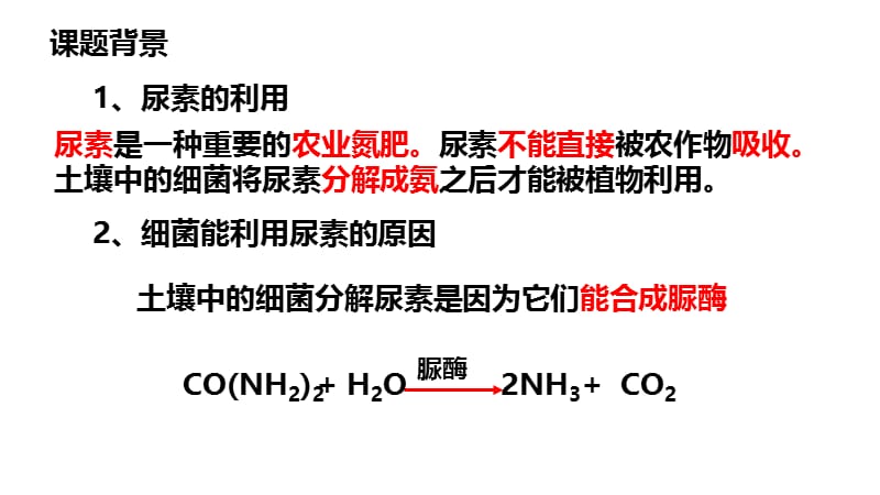 土壤中分解尿素的细菌的分离与计数(公开课);.ppt_第2页