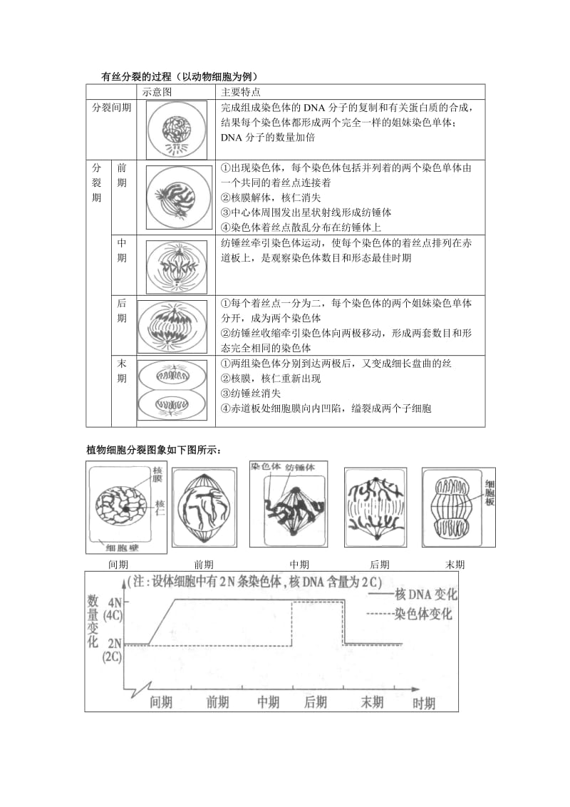 有丝分裂和减数分裂的过程和图像;.docx_第1页