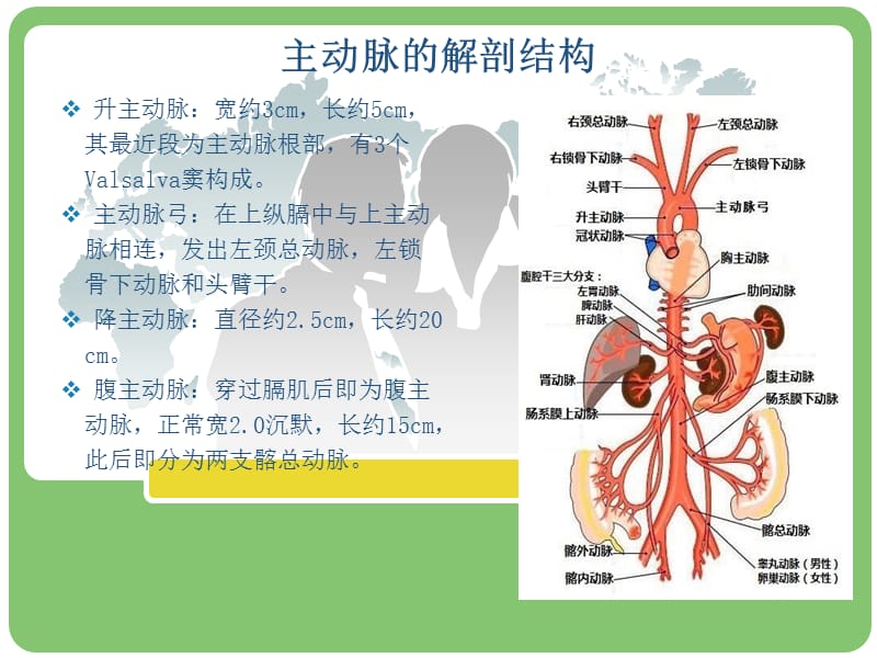 主动脉夹层的病例讨论;.ppt_第2页