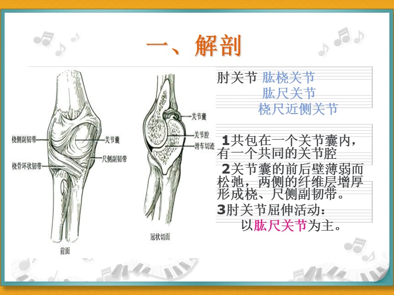 肘关节脱位ppt;.ppt_第3页