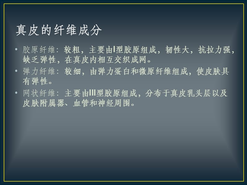 真皮的分层结构及皮下组织的主要结构;.ppt_第3页