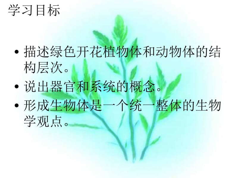 七年级生物多细胞生物体的结构层次课件.ppt_第2页