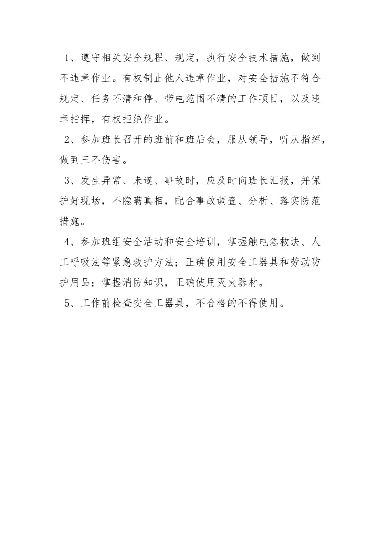 继电保护班其它成员岗位职责和安全职责.docx_第2页