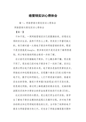 络营销实训心得体会.docx