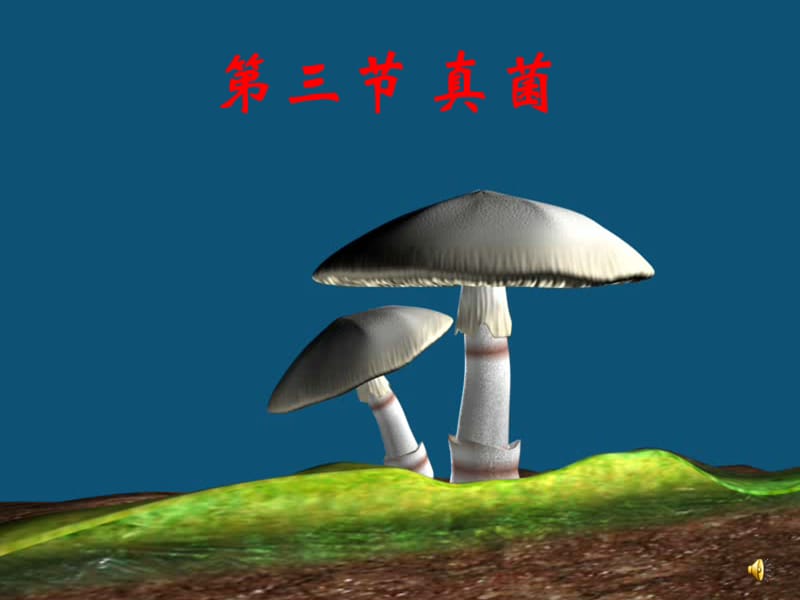 人教版八年级生物《真菌》.ppt_第1页