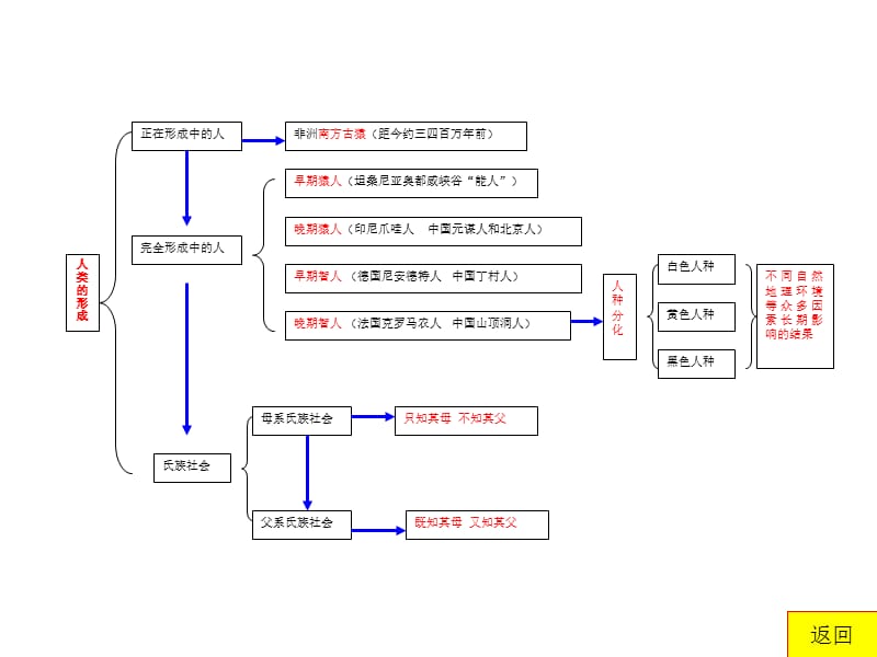 九年级上册历史课件.ppt_第3页