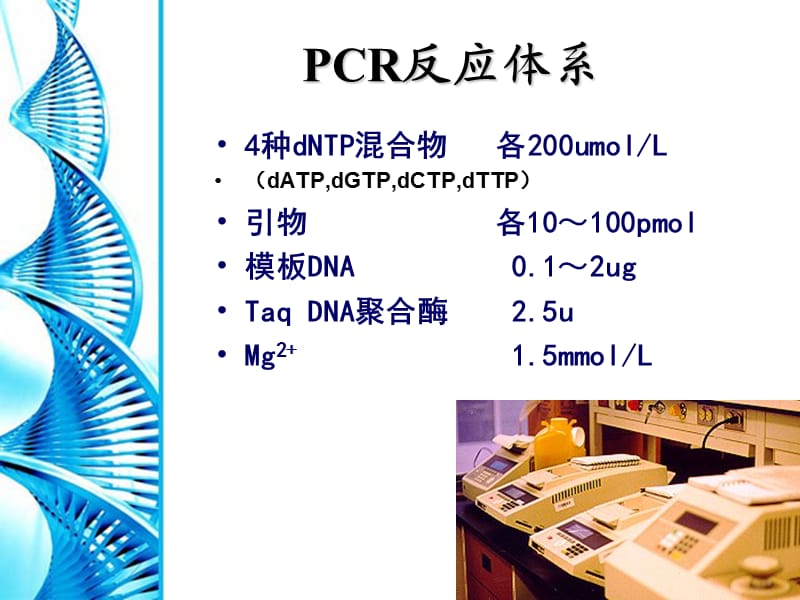 PCR原理及其操作高中.ppt_第3页