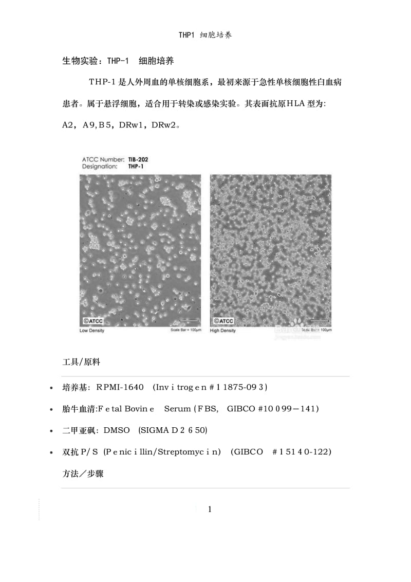 THP1 细胞培养.doc_第1页