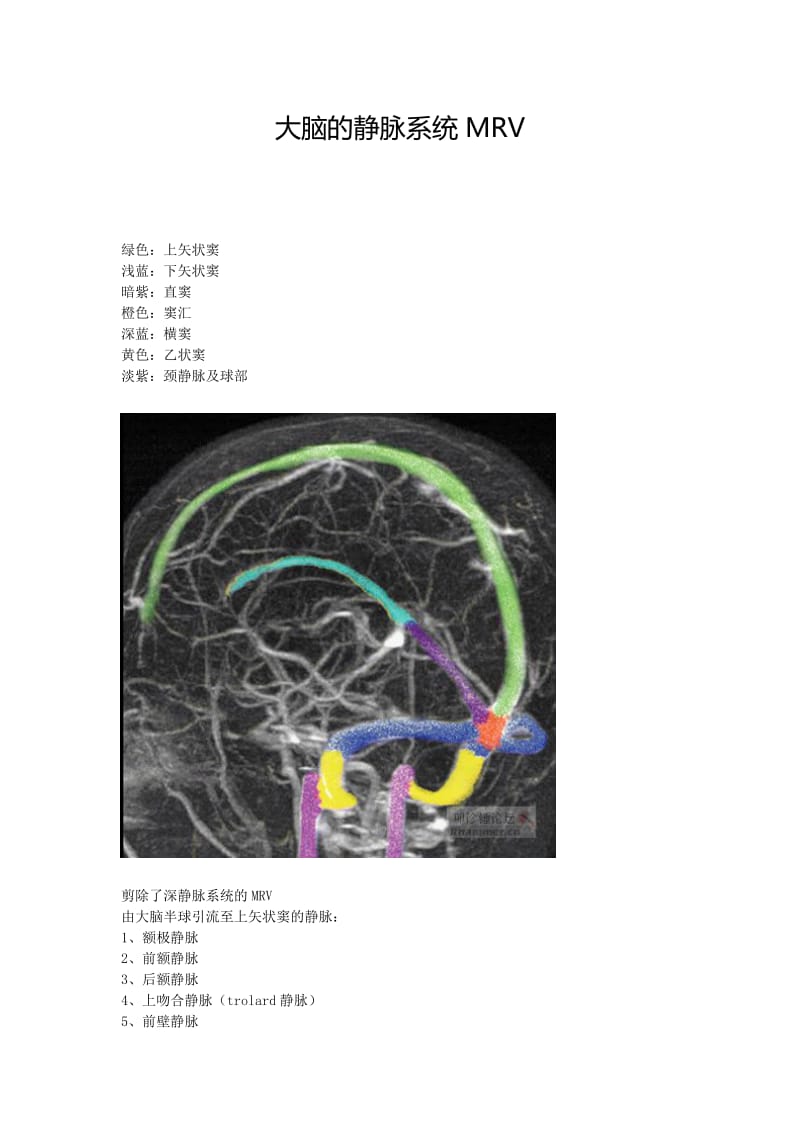 大脑的静脉系统(MRV);.docx_第1页