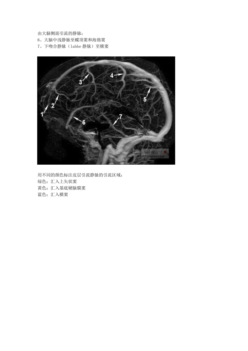 大脑的静脉系统(MRV);.docx_第2页