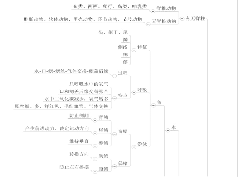 思维导图 生物八年级上学期期中考试复习提纲.ppt_第3页