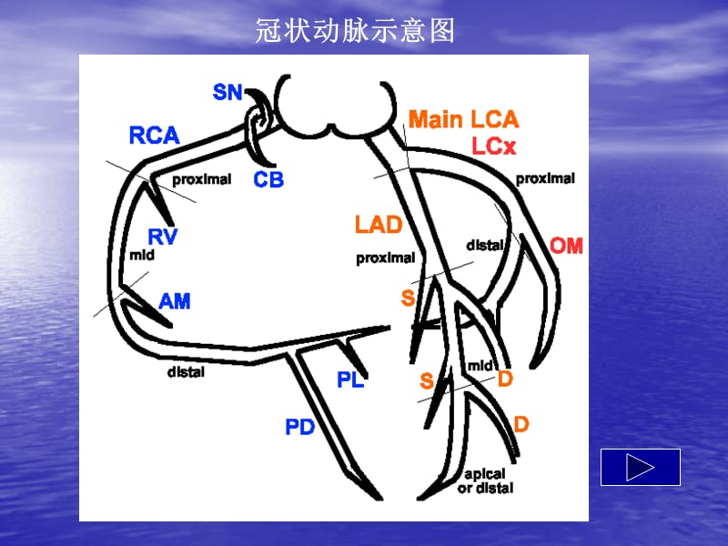 心肌梗死心电图的动态变化;.ppt_第3页