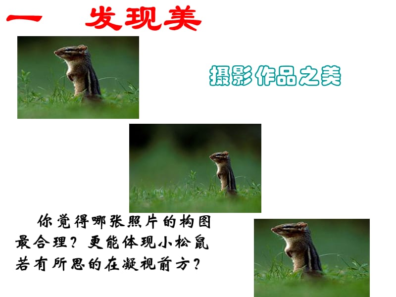 黄金分割优秀课件.ppt_第3页