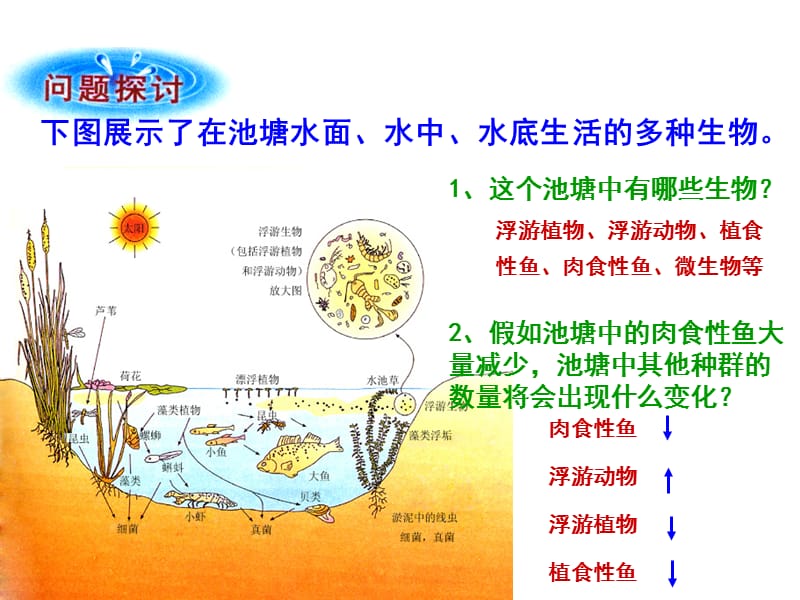 群落的结构课件.ppt_第1页