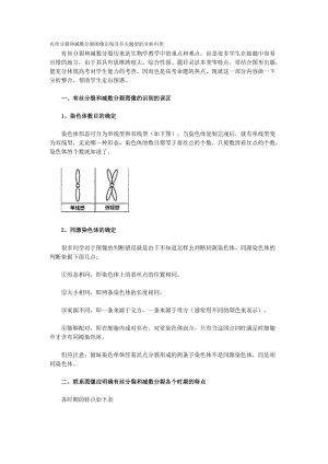 生物 有丝分裂和减数分裂图解,区别和联系;.docx