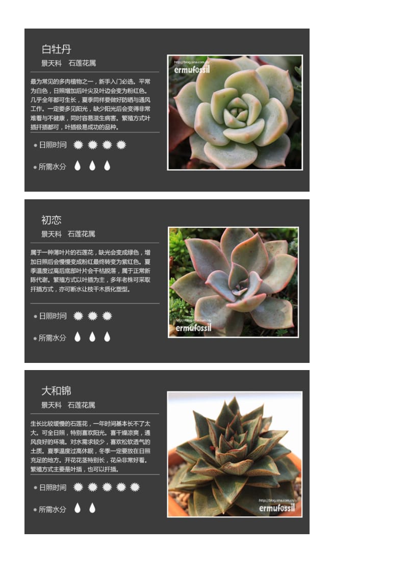 200种常见多肉植物图鉴.docx_第2页