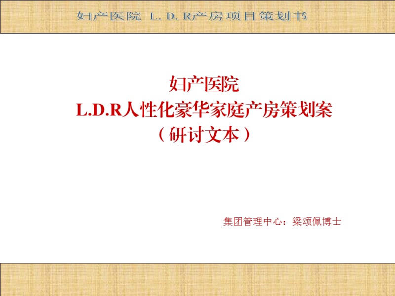 LDR策划书.ppt_第1页