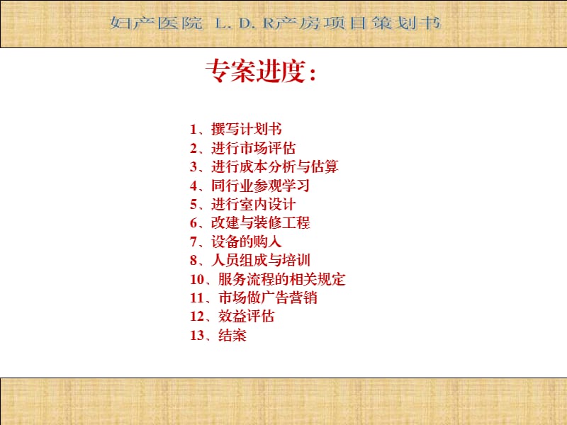 LDR策划书.ppt_第2页