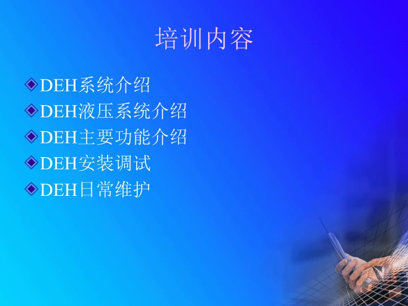 DEH培训(完全).ppt_第2页