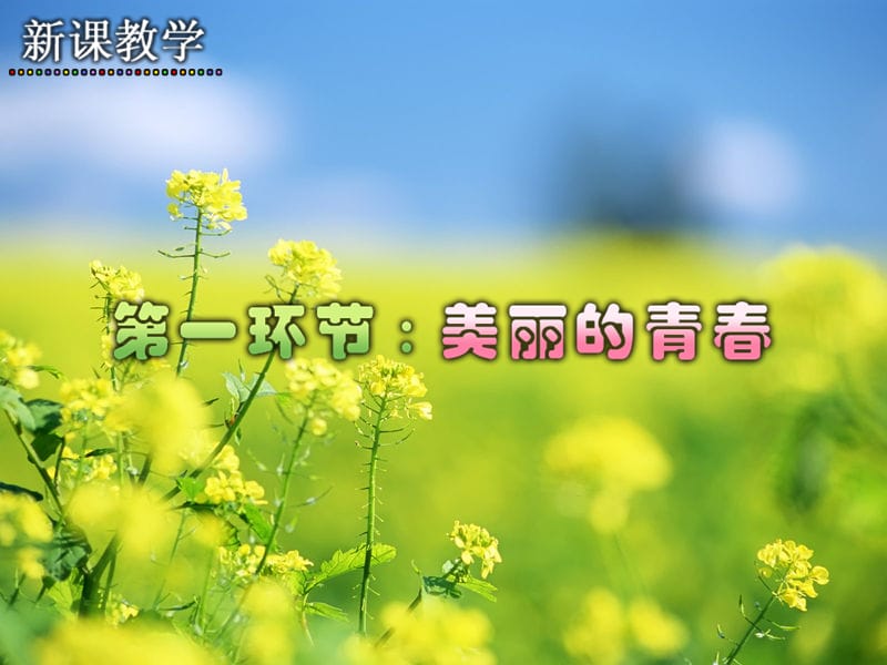 人教版思想品德七年级《祝福青春》.ppt_第3页