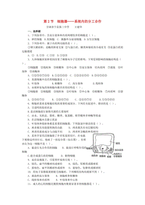 高中生物 第三章 细胞的基本结构 第二节 细胞器——系统内的分工合作测试题 新人教版必修1.doc