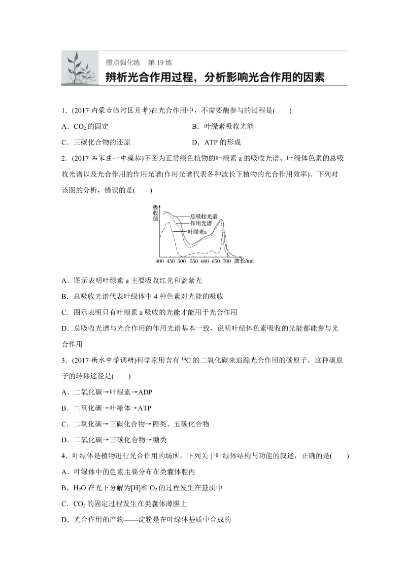 【通用版】高中生物必修1、必修2课时训练：第19练-光合作用(含答案).doc_第1页