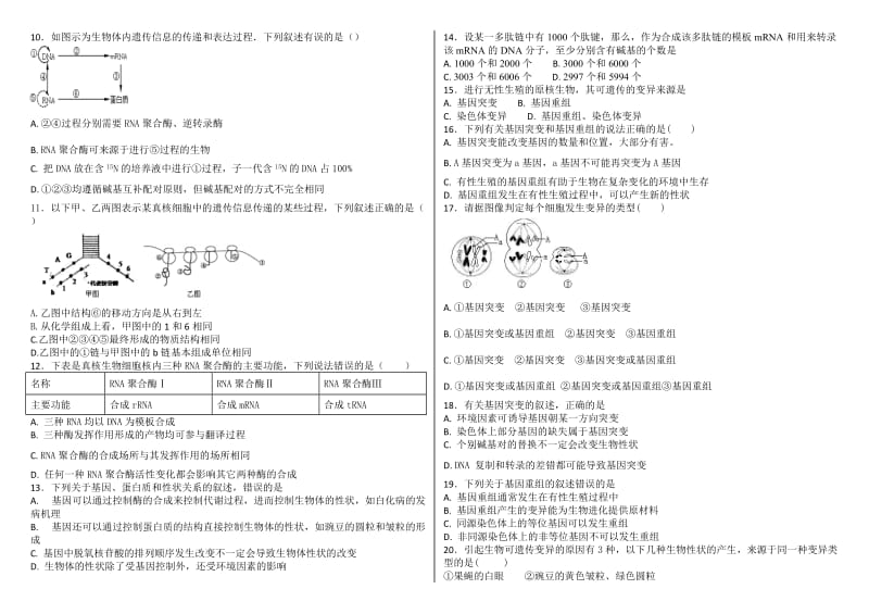 高中生物必修二第一章到第五章课堂检测(含答案).doc_第2页