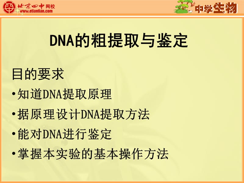 DNA的粗提取与鉴定(修改版).ppt_第1页