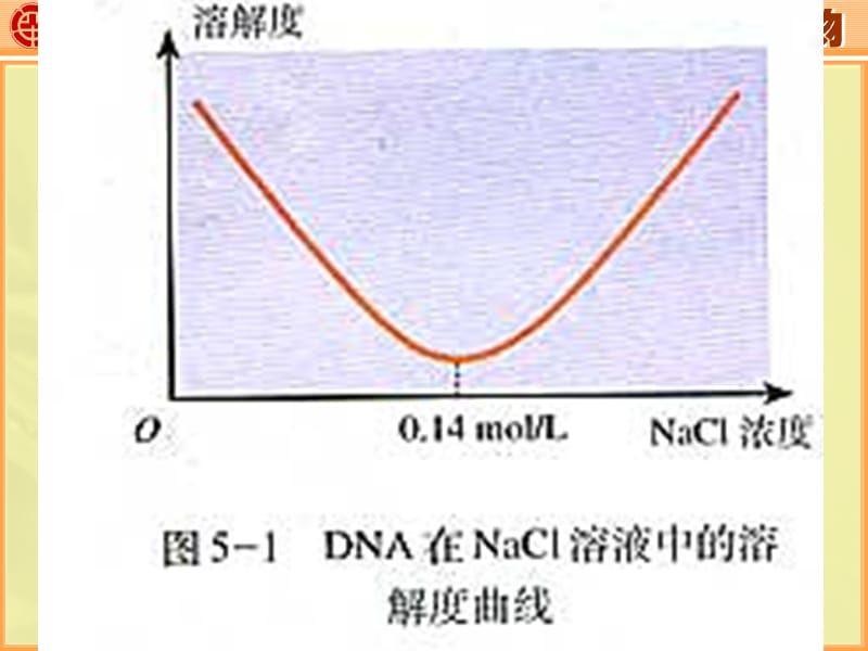 DNA的粗提取与鉴定(修改版).ppt_第3页