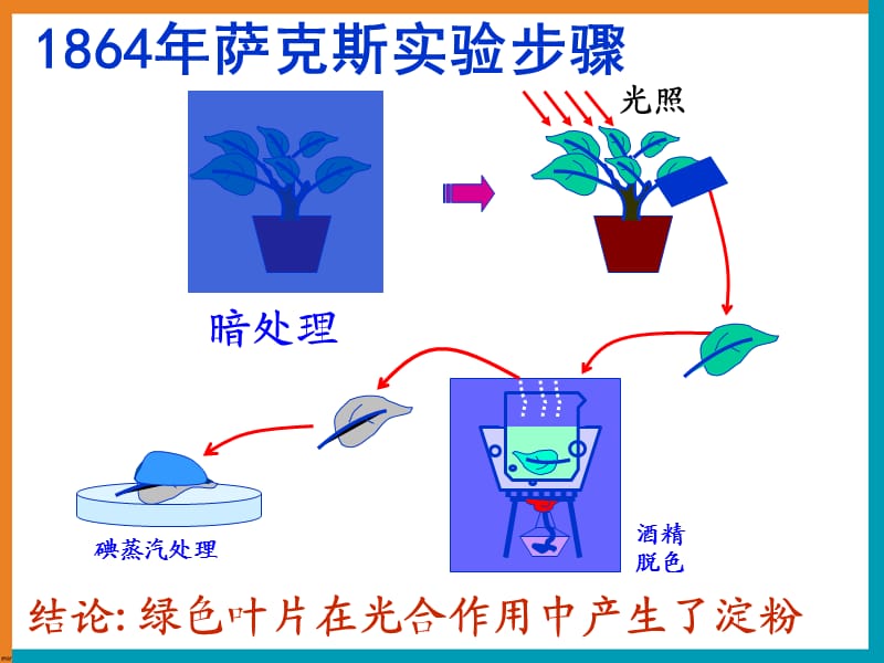 《光合作用探究历程之萨克斯经典实验》.ppt_第2页