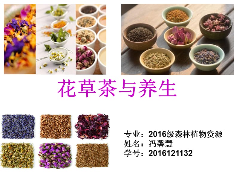 花草茶与养生.ppt_第1页