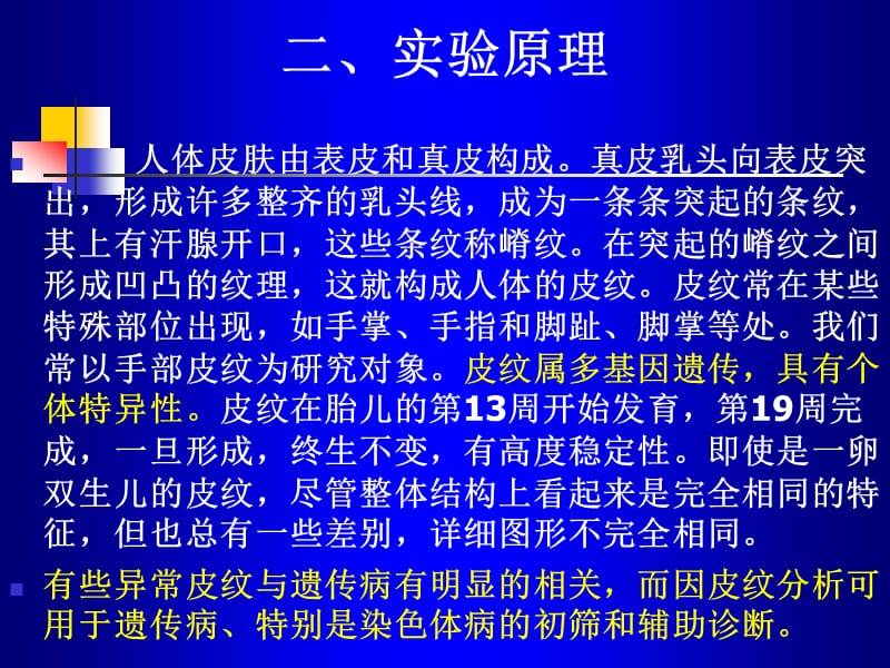 人体手部皮纹理遗传分析;.ppt_第2页