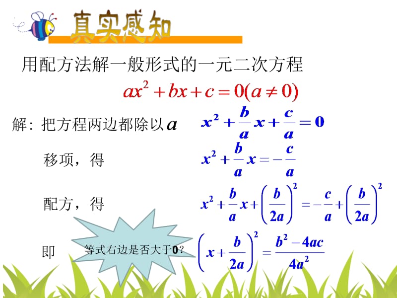 一元二次方程公式法求解.pptx_第2页