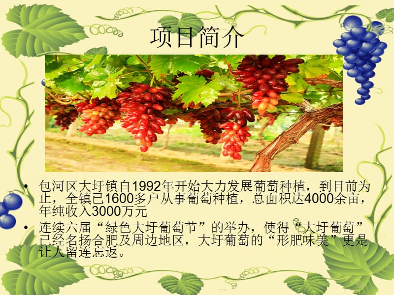 大圩葡萄营销推广方案.ppt_第2页