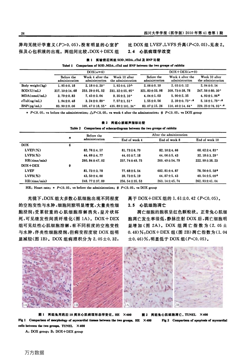 右丙亚胺对阿霉素引起的心脏毒性防治效果及其机制研究.pdf_第3页